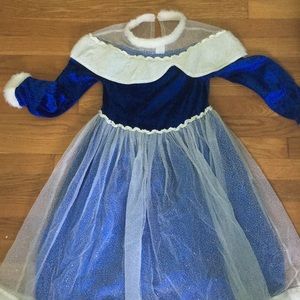 Snow Princess Costume